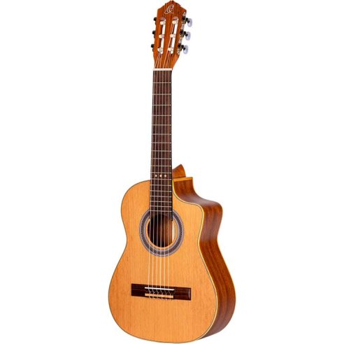 ORTEGA RQ39