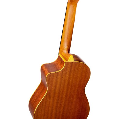 ORTEGA RQ39