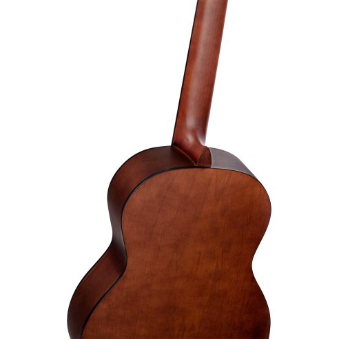 ORTEGA R55