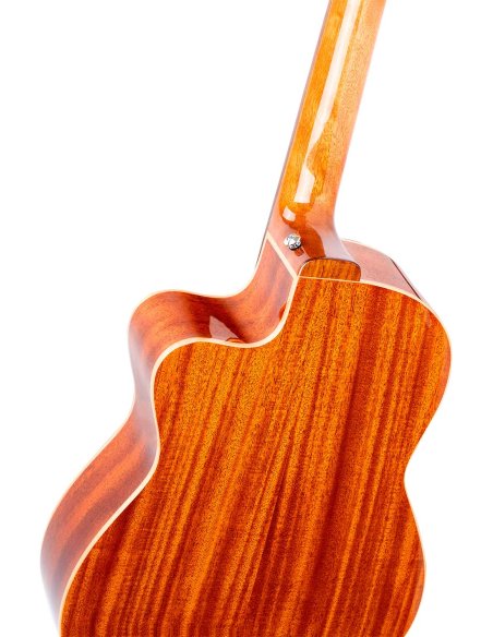 ORTEGA RCE238SN-FT ORTEGA RCE238SN-FT