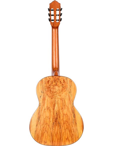 ORTEGA RSM-REISSUE ORTEGA RSM-REISSUE