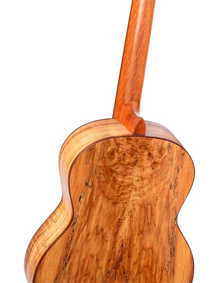 ORTEGA RSM-REISSUE ORTEGA RSM-REISSUE