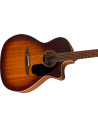 FENDER NEWPORTER SPECIAL HSB W/BAG