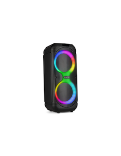 Fenton Track510 2x8 BT, TWS,LED,Micr.IR