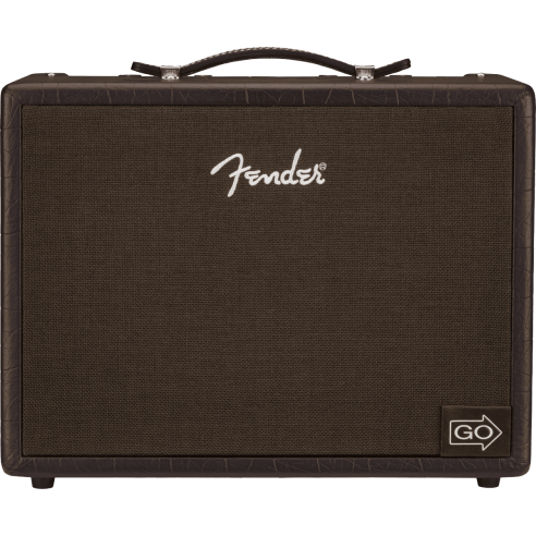 FENDER ACOUSTIC JR GO