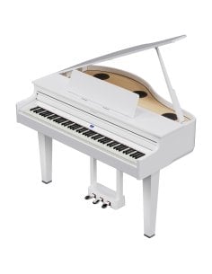 ROLAND GP-6 PW
