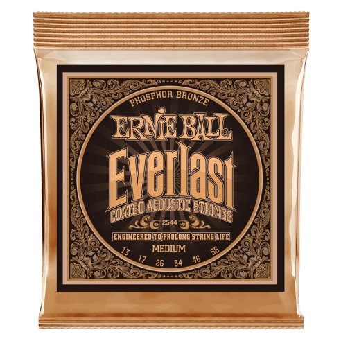 ERNIE BALL 2544 EVERLAST PHOSPHOR BRONZE MEDIUM