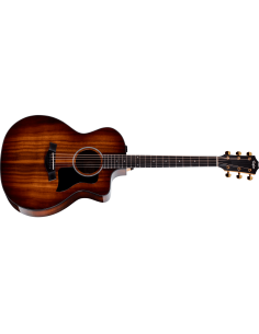 TAYLOR 224ce-K DLX