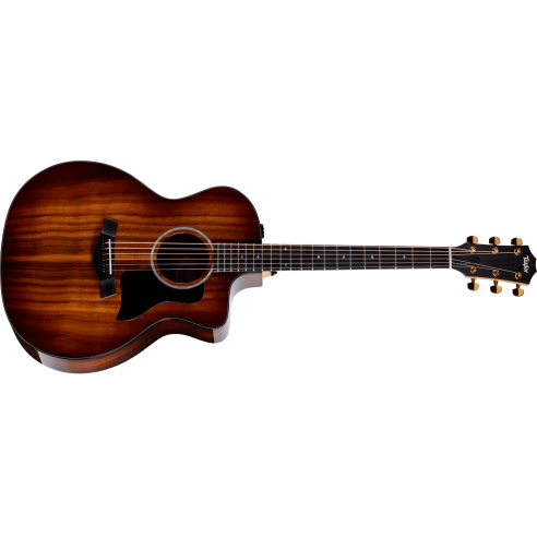 TAYLOR 224ce-K DLX