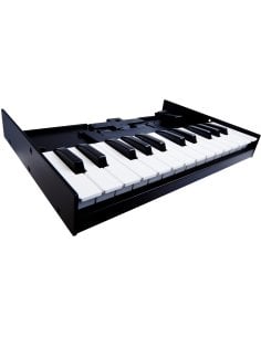 ROLAND K-25M