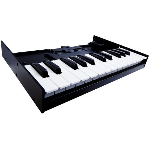 ROLAND K-25M