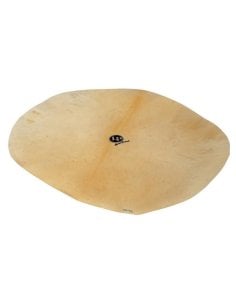 LP 962 PELLE GREZZA PER DJEMBE'
