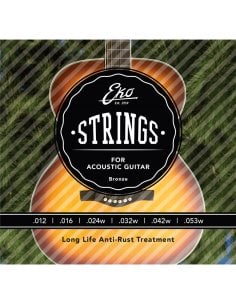 EKO ACOUSTIC SET H 12/53