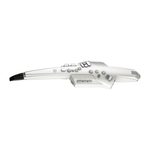 ROLAND AE-10 AEROPHONE