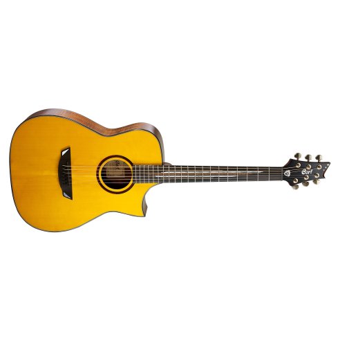 CORT LUXE NATURAL FRANK GAMBALE + CASE