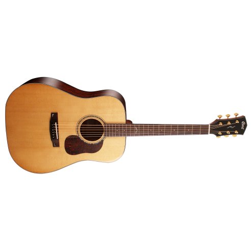 CORT GOLD D6 NATURAL + CASE