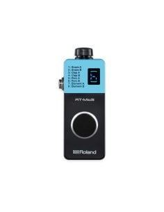 ROLAND RT-MICS