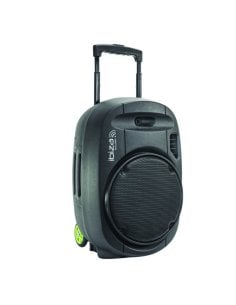 IBIZA SOUND PORT12VHF-MKII
