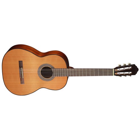 CORT AC100 DX NATURAL