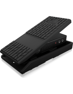 BEHRINGER FCV100 V2