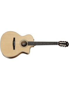 TAYLOR 214ce-N