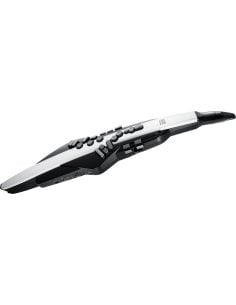 ROLAND AE-20 AEROPHONE