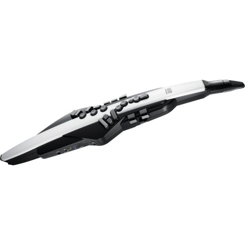 ROLAND AE-20 AEROPHONE