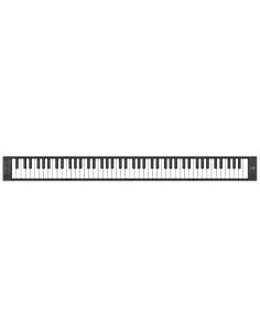 BLACKSTAR CARRY ON PIANO 88 BLACK 2