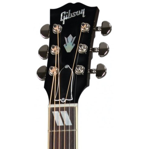 GIBSON HUMMINGBIRD STANDARD VS