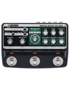 BOSS RE-202