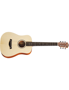 TAYLOR BT1