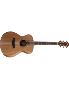 TAYLOR ACADEMY 22E