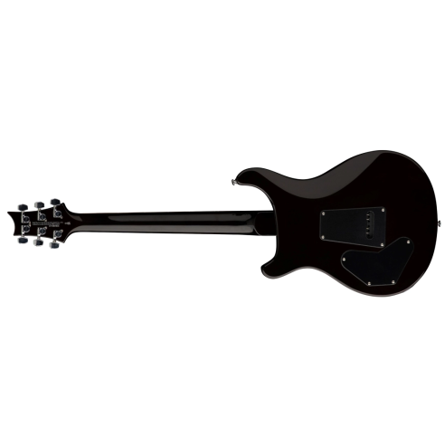 PRS SE DGT MOONS GOLD TOP