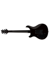 PRS SE DGT MOONS GOLD TOP
