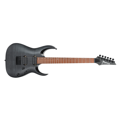 IBANEZ RGA42FM TGF