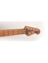 MUSIC MAN AXIS SS HH TREM YUCATAN BLUE FLAME ROASTED