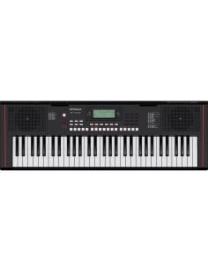 ROLAND E-X10