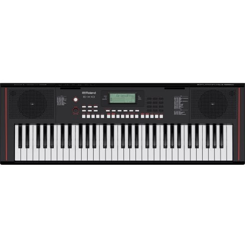 ROLAND E-X10