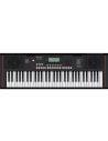 ROLAND E-X10