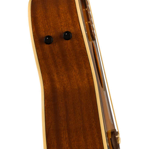 FENDER NEWPORTER PLAYER SUNBURST