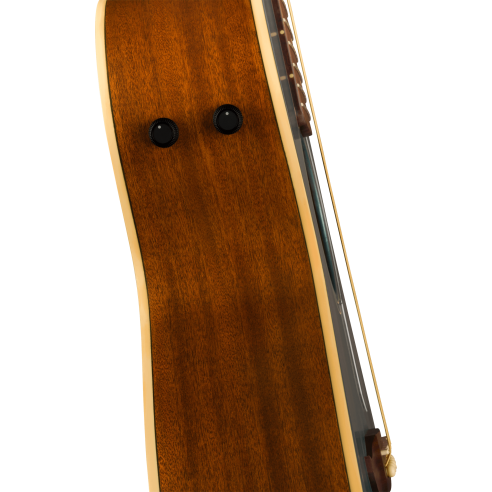 FENDER NEWPORTER PLAYER TIDEPOOL