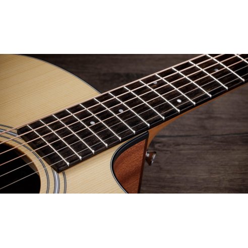 TAYLOR 114ce-S