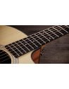 TAYLOR 114ce-S