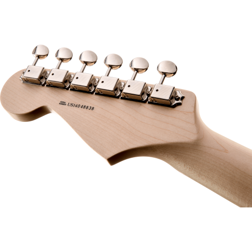 FENDER ERIC CLAPTON STRAT BLACK