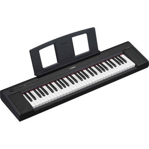 YAMAHA NP15B