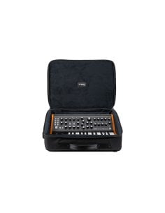 MOOG SUBSEQUENT 25 SR CASE