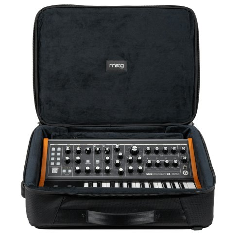 MOOG SUBSEQUENT 25 SR CASE