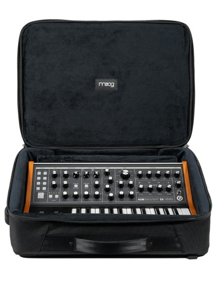 MOOG SUBSEQUENT 25 SR CASE MOOG SUBSEQUENT 25 SR CASE