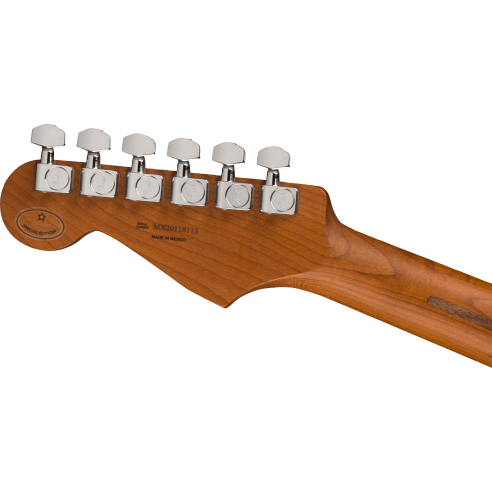 FENDER DE PLAYER STRAT ROASTED MN 2TS