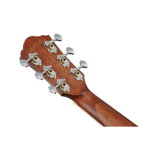IBANEZ AE240JR-MHS